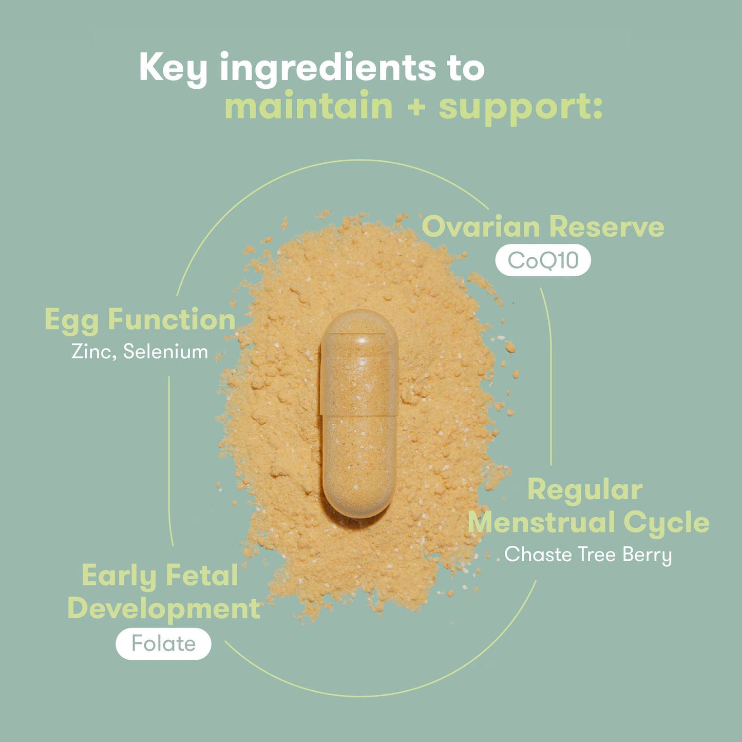 SUPPLEMENT, FERTILITY FML FRIDA PRE-CONCEPTION (60/BT 12BT/C
