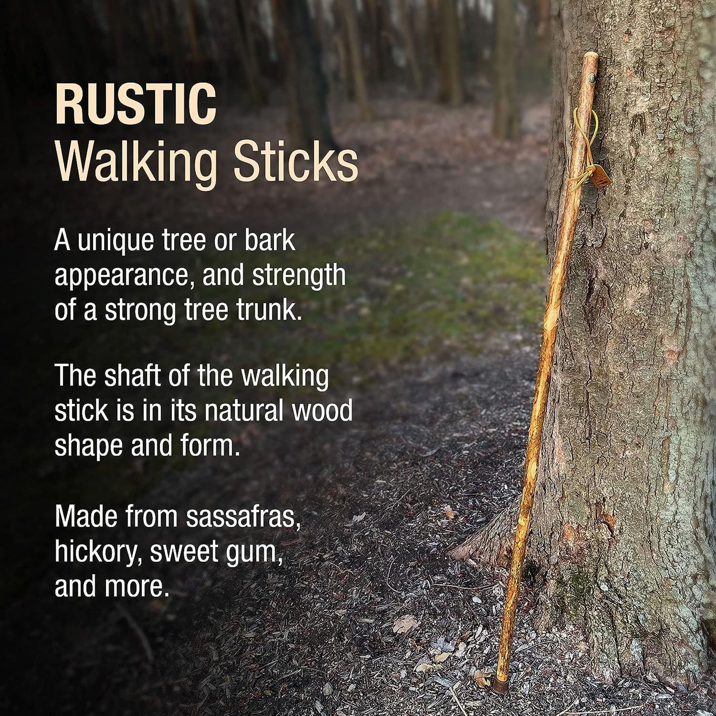 STICK, WALKING BRAZOS FREE FROM AMERICAN HARDWOOD 41"