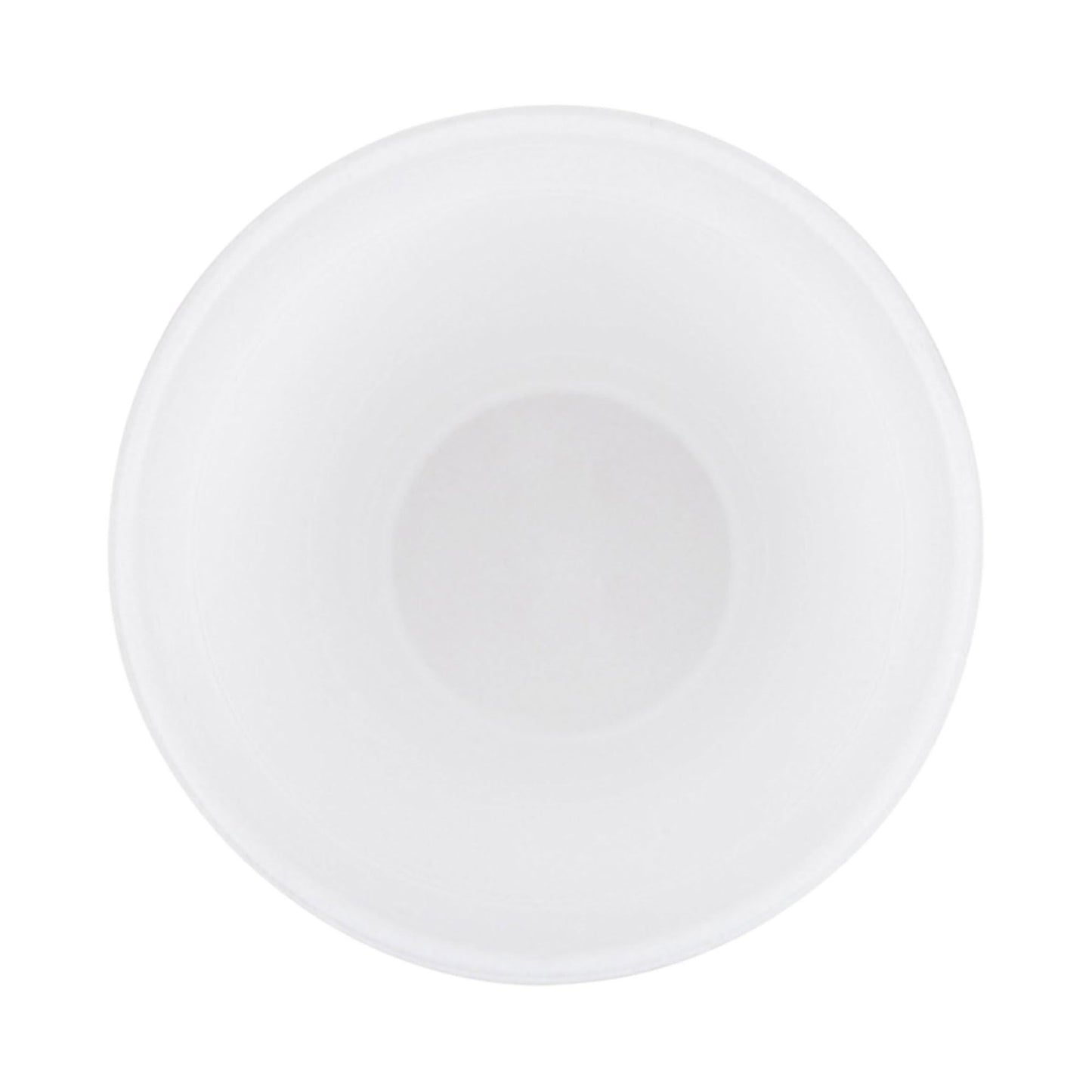 CUP 20OZ FOAM 25/BX SLV=BX 20BX/CS