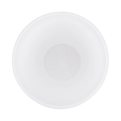 CUP 20OZ FOAM 25/BX SLV=BX 20BX/CS