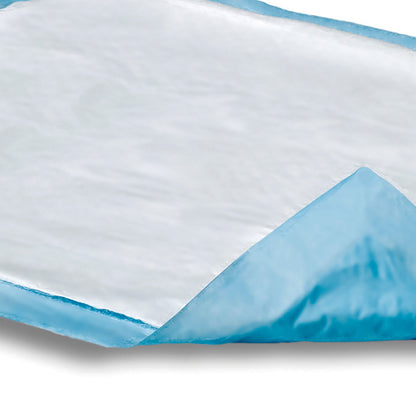 UNDERPAD,DRI-SORB NWOVN 29.5X29.5 (10/BG 15BG/CS)