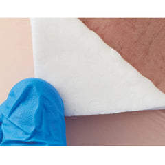 DRESSING, WOUND ADVAZORB SILFIX HYDROPHILIC FM 4'X4" (10/BX)