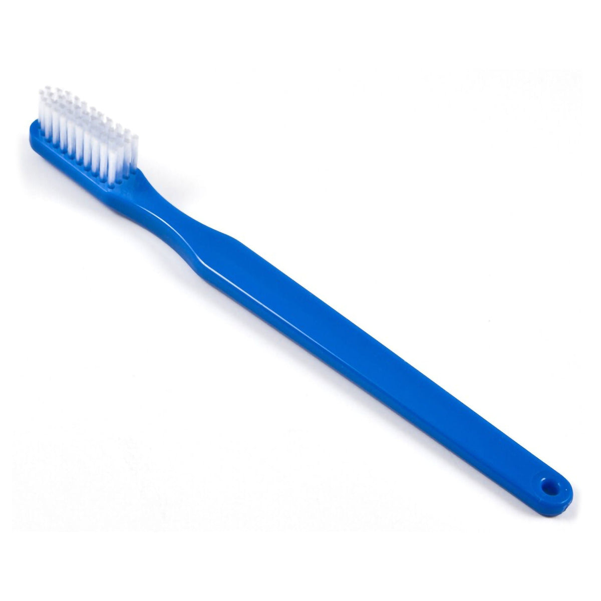 BRUSH, INSTRUMENT DISP (24/PK)