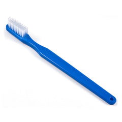 BRUSH, INSTRUMENT DISP (24/PK)