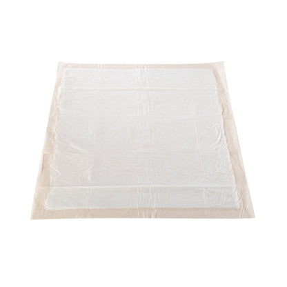 UNDERPAD, HEAVY ABSRB 30X30 (10/BG 10BG/CS)