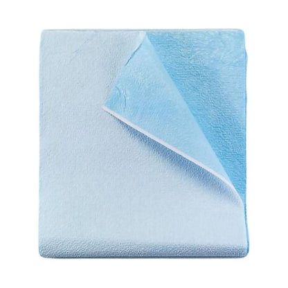 SHEET, STRETCHER T/P HW BLU 40X72 (50/CS)