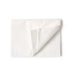 SHEET, DRAPE 2PLY ECON WHT 40X60 (100/CS)
