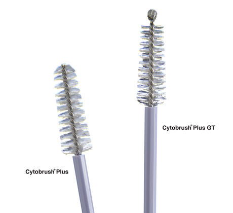 BRUSH, CYTO PLUS GT (100/BG 25BG/BX)