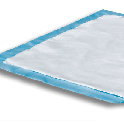UNDERPAD, DRI-SORB 23X36" (10/PK 15PK/CS)
