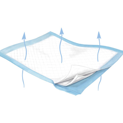 UNDERPAD, MAXI FLOW XLG (10/BG6BG/CS) KENICO
