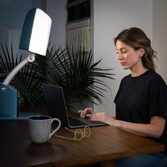 LIGHT, F/EVERYDAY TASK LIGHT SKY HT ADJ