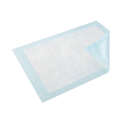 UNDERPAD, EXTR 23"X36" (25/BG 6BG/CS)