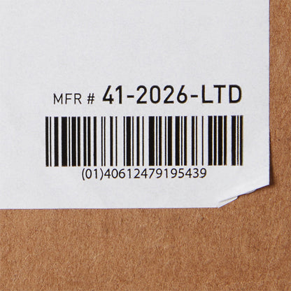 PILLOW, LTD RUSBL MOIST-RESISTFUL BLU 20X26 (12/C