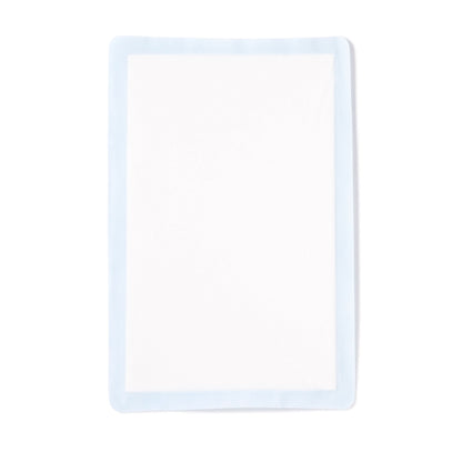 DRESSING, XTRASORB STR 6"X9" (10/BX)