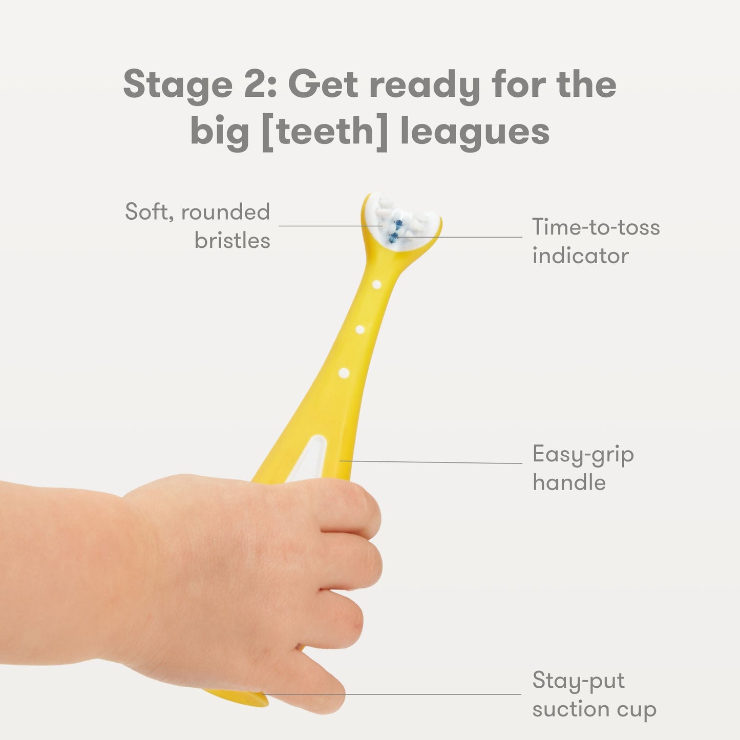 TOOTHBRUSH SET, TRAINING GROW-WITH-ME (12/CS)
