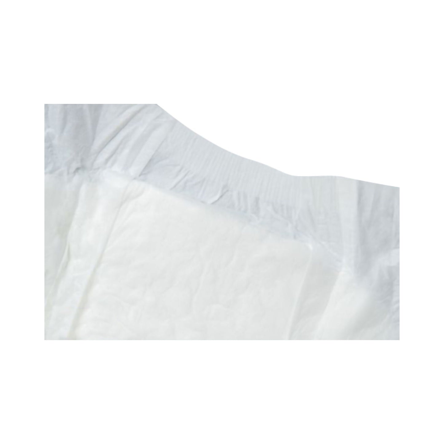 BRIEF, FITTED TOTALDRY X-PLUS LG (12/BG 4BG/CS)
