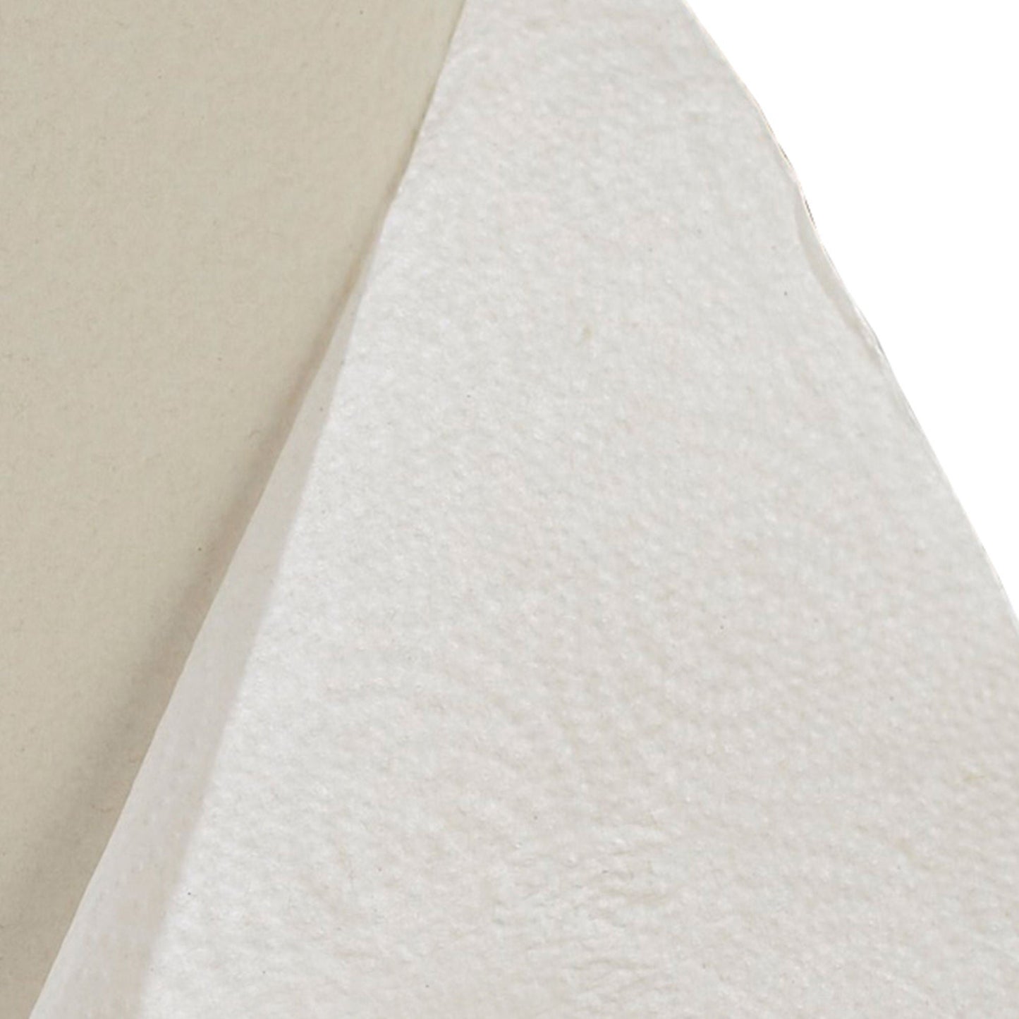 TOWEL, PAPER PERFORM 2PLY WHT (12RL/CS)