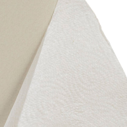TOWEL, PAPER PERFORM 2PLY WHT (12RL/CS)