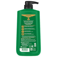 BODYWASH, IRISH SPRING 30OZ W/PUMP (4/CT)