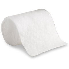 PADDING, CAST WET OR DRY 4 (20RL/BG 4BG/CS) 3MORTH