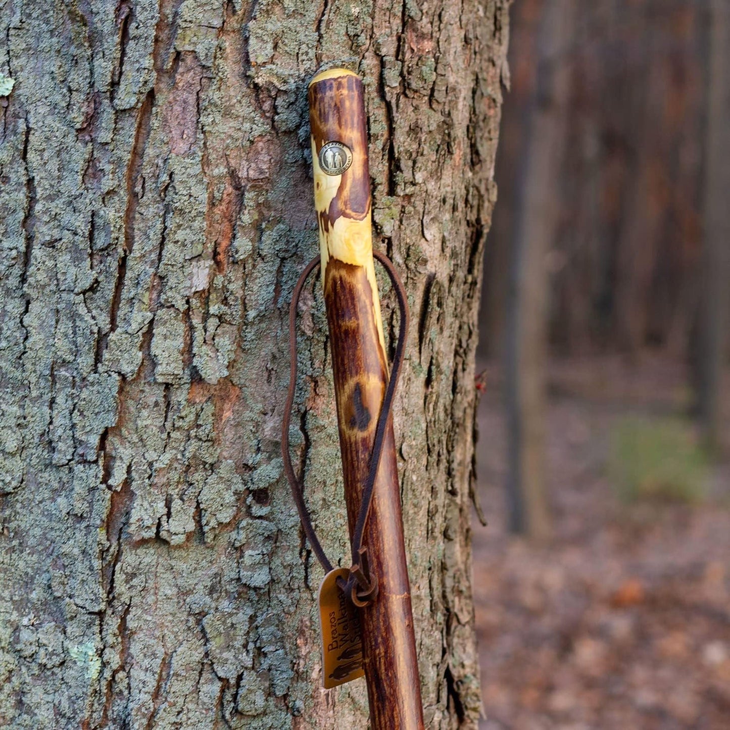 STICK, WALKING WOOD BRAZOS FREE FORM HAWTHORN 48"