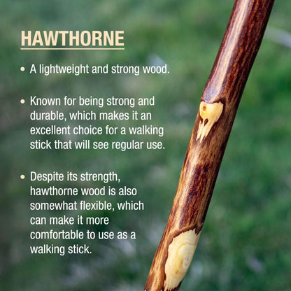 STICK, WALKING WOOD BRAZOS FREE FORM HAWTHORN 48"
