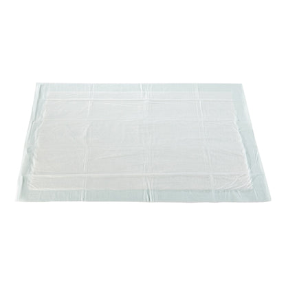 UNDERPAD, MODERATE ABSRB 23X36(120/CS)