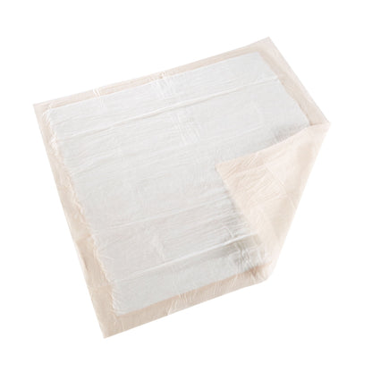 UNDERPAD, HEAVY ABSRB 30X30 (10/BG 10BG/CS)