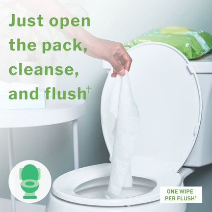 WIPE, WET FLUSHABLE XL SCENTEDSFT PK W/LID (96/PK 6PK/CS)