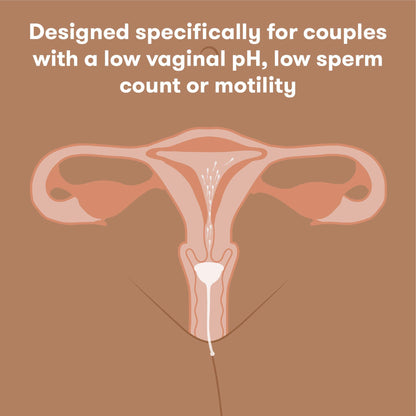 CUP, AID CONCEPTION (12/CS)