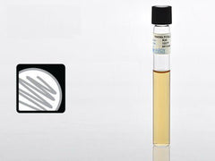 THIOGLYCOLLATE, W/O INDICATOR 16X125MM W/O INDICATOR (20/BX)