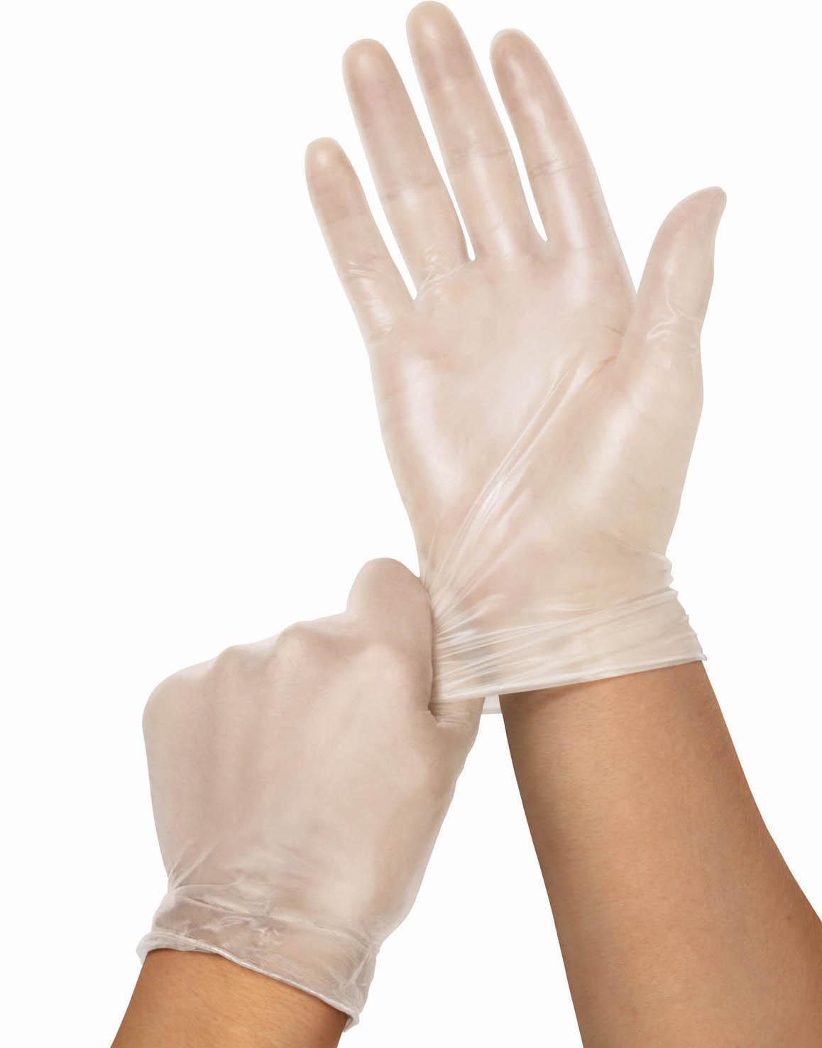 PF Clear Vinyl Exam Gloves